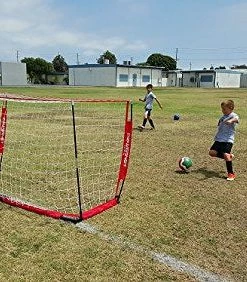 PowerNet Soccer Goal 8x4 Portable Bow Style Net 1 Goal+1 Carrying Bag