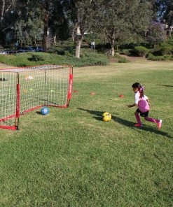 PowerNet Soccer Goal 8x4 Portable Bow Style Net 1 Goal+1 Carrying Bag